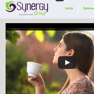 Synergy Group (Participación)